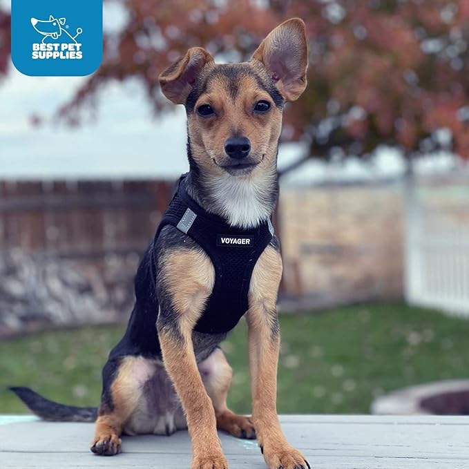 Best Pet Supplies Voyager Step-in Air Dog Harness - All Weather Mesh, Reflective, No Pull Harness for Small, Medium Dogs, Cats - Secure with Hook & Loop Fastener, Buckle, Double D-Rings - Black, L