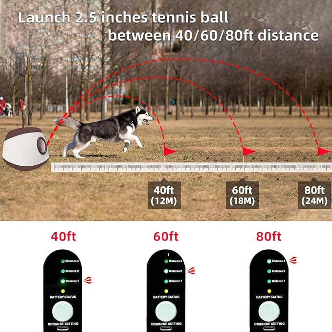 AutoDog Ball Launcher - Large Silent Dog Ball Thrower with Remote Control, 3 Adjustable Distances (40t/60ft/80ft), Rechargable,Includes 6 Durable 2.5" Balls for Medium/Large Dogs (Silver grey, Large)