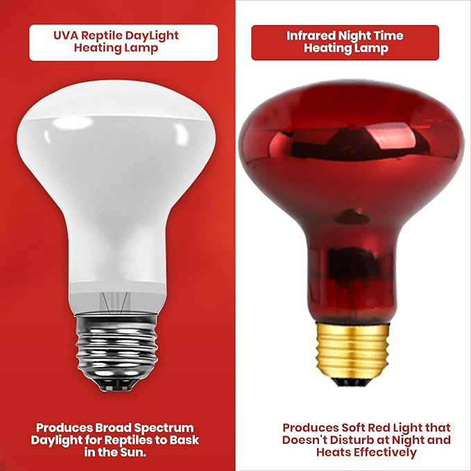 50 Watt Reptile Heat Bulb, 50 Watts UVA Basking Light Bulbs for Reptiles, Terrarium Basking Heat Lamp for Bearded Dragon,Lizard,Turtle,Snake, UVA Reptile Light Bulb E26 Base 2 Pack