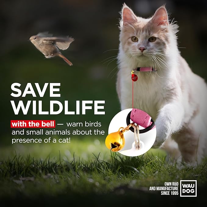 Leather Cat Collar with Bell & Elastic Strap - Pet Collar Leather - Leather Kitten Collar - Cats Small and Big Cat Collar for Boy Cats, Girl Cats with Safety Elastic Strap (Pink, 6" - 8")