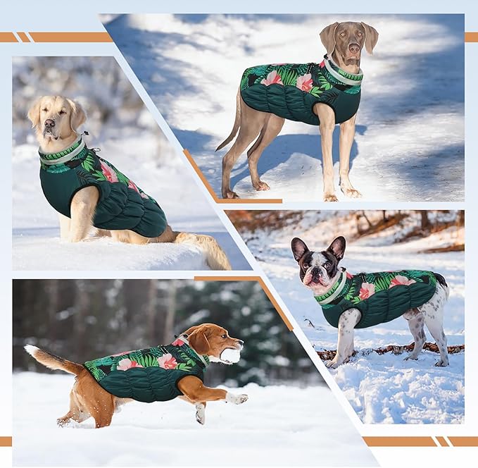 Dog Jackets for Medium Dogs,Medium Dog Coat,Warm Pet Winter Coat Zip Up Back,Waterproof Dogs Jacket with D-Ring,Pet Cold Weather Coats with Fleece Lined, Snowsuit Pug Boston Terrier,M