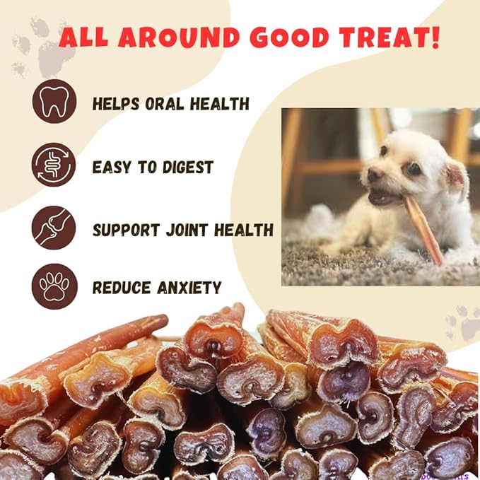 Amazing Dog Treats - 6 Inch Medium Size Bully Sticks (10 Count) - Bulk Bully Sticks for Dogs - No Hide Bully Stick Dog Bones