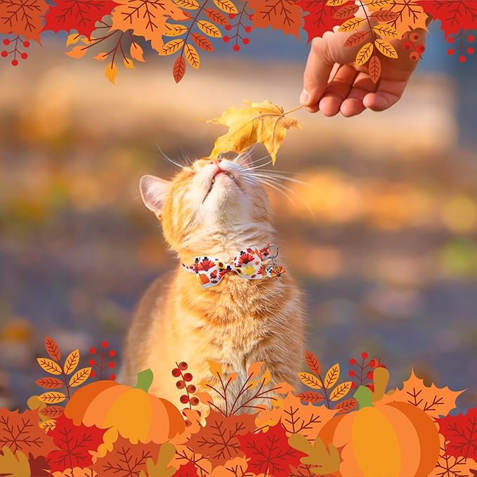 SCENEREAL Fall Thanksgiving Cat Collar Breakaway with Bell, Bowtie and Safety Buckle, 2 Pack Adjustable Cute Holiday Kitten Collars with Turkey & Pumpkin Pattern for Girl Boy, Orange