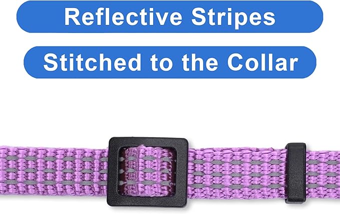 Pawtitas Pet Reflective Cat Collar with Safety Buckle and Bell Purple Orchid