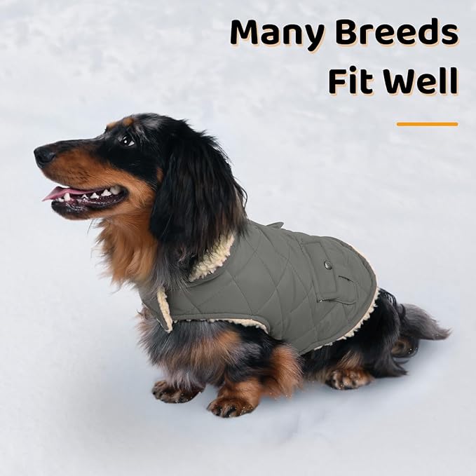 Queenmore Dog Winter Coat - Fleece Jacket, Waterproof Cold Weather Dog Clothes, Thick Warm Cotton Padding, Easy On Storage Pockets (Grey, Small)