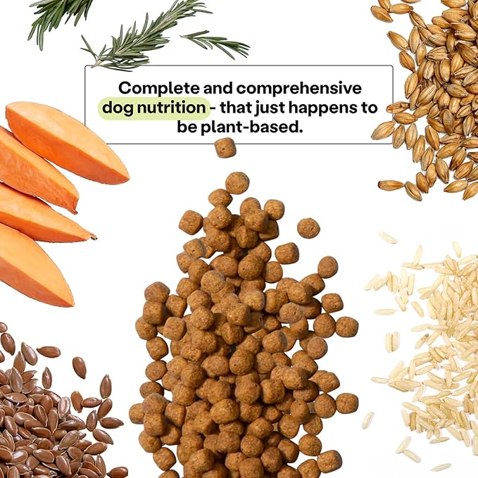Wild Earth Vegan Dry Dog Food | Plant-Based Maintenance Formula | Vegetarian, Allergy Relief, Veterinarian-Developed for Complete Nutrition | Golden Rotisserie Flavor, 28 Pound Bag