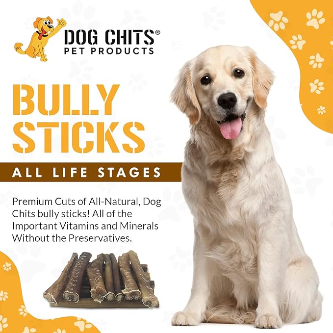 Dog Chits Bully Sticks for Dogs and Puppies | 6-inch, 12 Pack | Natural Healthy Long Lasting Chew for Large and Small Dogs Protein Treats | Odor Free