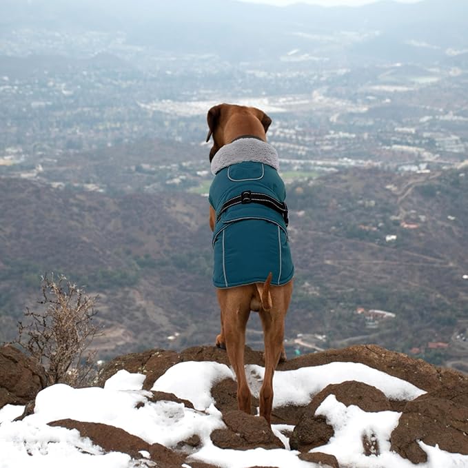 Lelepet Warm Dog Coat Reflective Fleece Vest Waterproof Dog Jacket with Adjustable Buckle Hook & Loop Windproof Cold Weather Coats for Small Medium Large Dogs, Dark Green, L