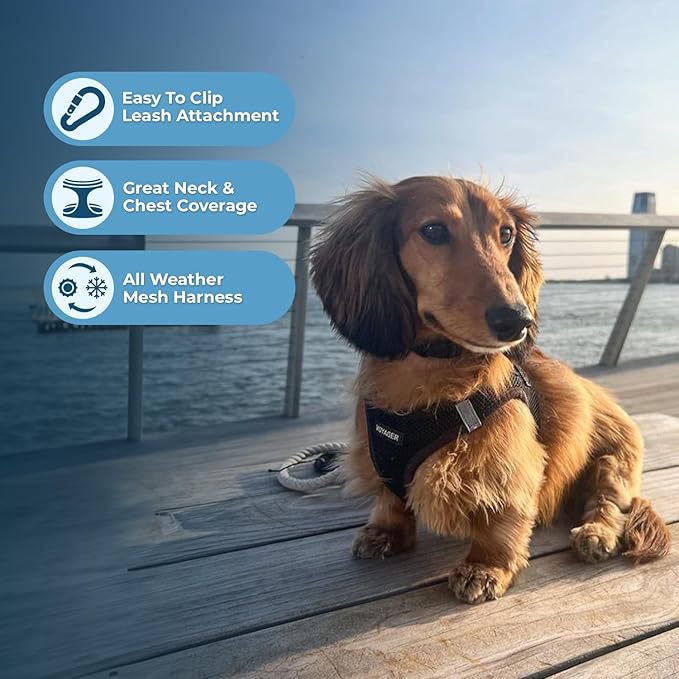 Best Pet Supplies Voyager Step-in Air Dog Harness - All Weather Mesh, Reflective, No Pull Harness for Small, Medium Dogs, Cats - Secure with Hook & Loop Fastener, Buckle, Double D-Rings - Black, L