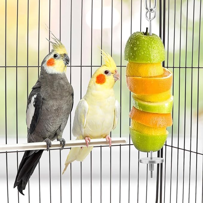 Hypeety Bird Fruit Vegetable Holder Stainless Steel Vegetable Skewer Hanging Food Feed Tool for Parrot Budgies Parakeet Cockatiels Conure Lovebirds Finch Canary Pigeon Hamster Rat Gerbil(7.9inch,20cm)