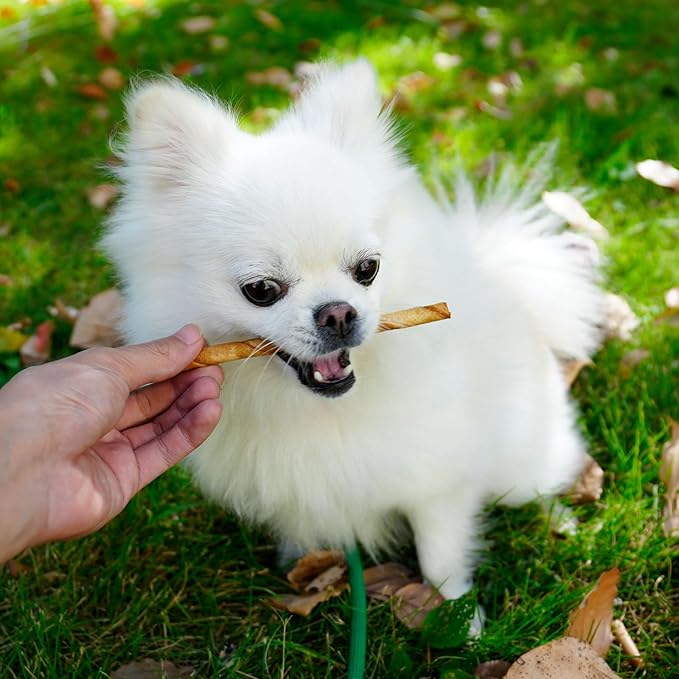 MON2SUN Dog Rawhide Twist Sticks Chicken Flavor 5 Inch Thin Sticks Rawhide Chews Treats for Puppy and Small Dogs 120 Count
