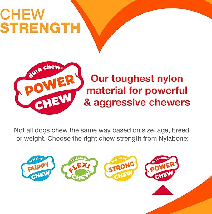 Nylabone Donut Power Chew Toy for Dogs, Dog Toys for Aggressive Chewers, Bacon Glazed Flavor, Large Dogs - Up to 50 lbs, 1 Count