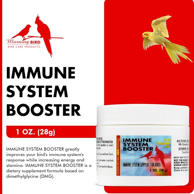 Morning Bird Immune System Booster 1 Oz - Energy Supplement for Birds – Natural Amino Acid Powder – Boosts Stamina, Cellular Health & Oxygen Use – Vitamin Powder for All Bird Species