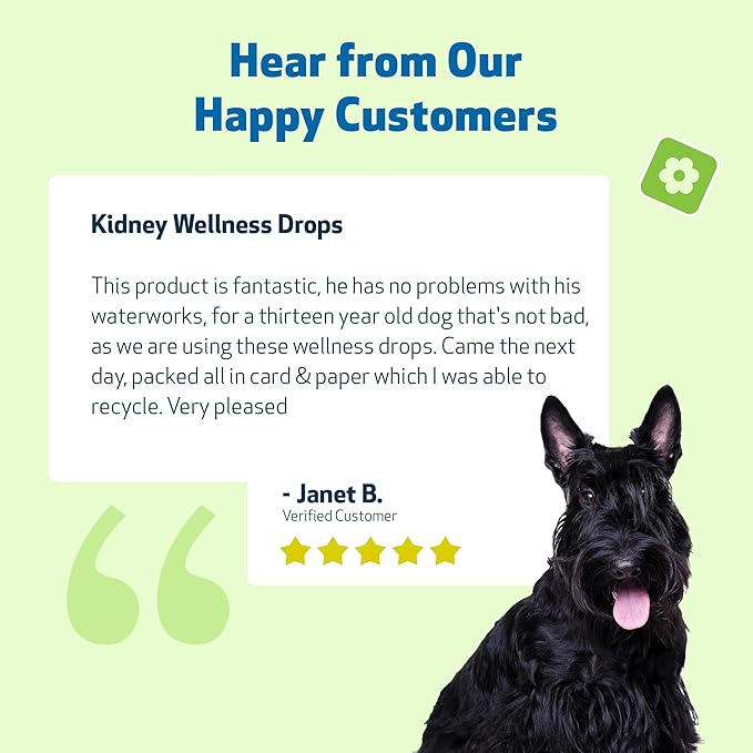 Pet Wellbeing Kidney Support Gold for Dogs - Supports Healthy Kidney Function, Fluid Balance, Energy Levels, Rehmannia, Dong Quai - Veterinarian-Formulated Herbal Supplement 2 oz (59 ml)