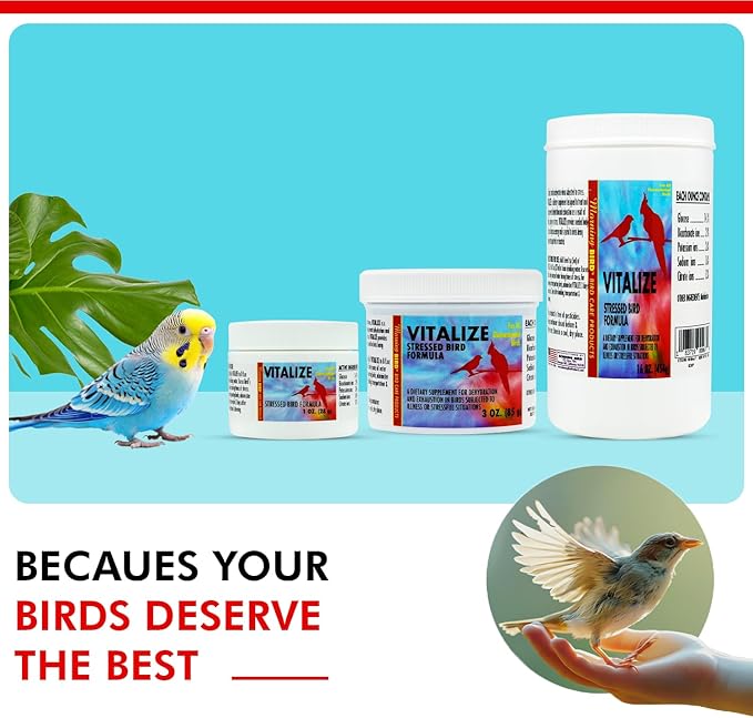 Morning Bird Vitalize, Supplement for Sick, Injured, or Stressed Caged Birds; Dehydration and Exhaustion Treatment for Parakeets, Cockatiels, Budgies, Finches, Canaries, and Parrots, 1 oz