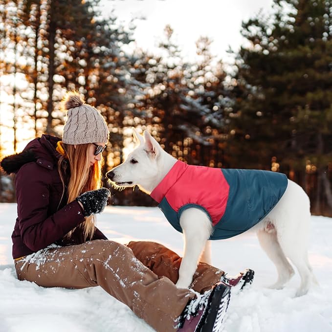 ASENKU Dog Winter Coat - Waterproof Windproof Dog Jacket, Warm Snowproof Doggie Puffer Vest for Cold Weather, Lightweight Snow Coats for Small Medium Large Dogs (Red&Navy, XL)