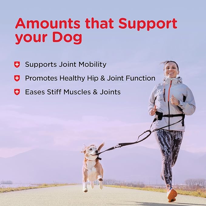 Nutri-Vet Hip & Joint Biscuits for Dogs, Dog Hip & Joint Supplement, Functional Treat, Large Sized Biscuit, 300mg of Glucosamine, 4 lb Bag