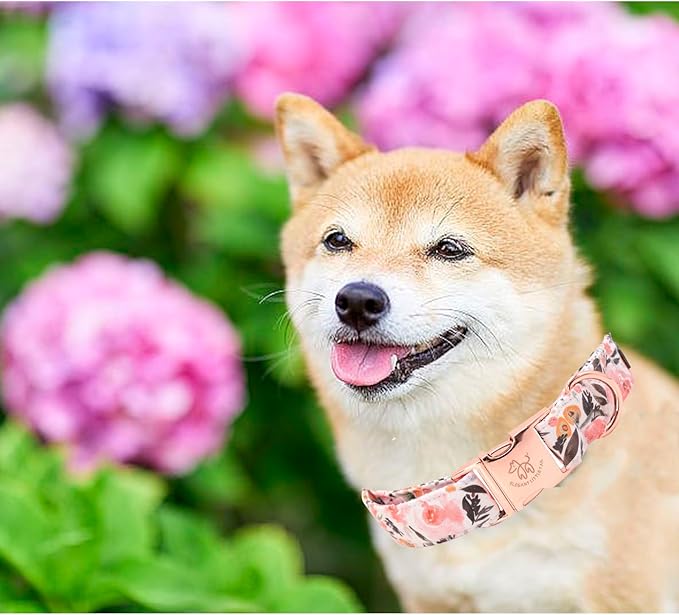 Elegant little tail Dog Collar, Pink Floral Pattern Pet Collar Summer Durable Cute Dog Collars Male or Female Pet Gift Adjustable Dog Collar for X-Small Dogs