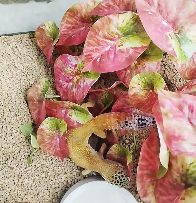 Reptile Plants for Terrarium Decor,Amphibian Habitat Decor, Bearded Dragon Tank Accessories,Artificial Plants for Gecko Chameleon Snake Tortoise with Base (Arrowhead)