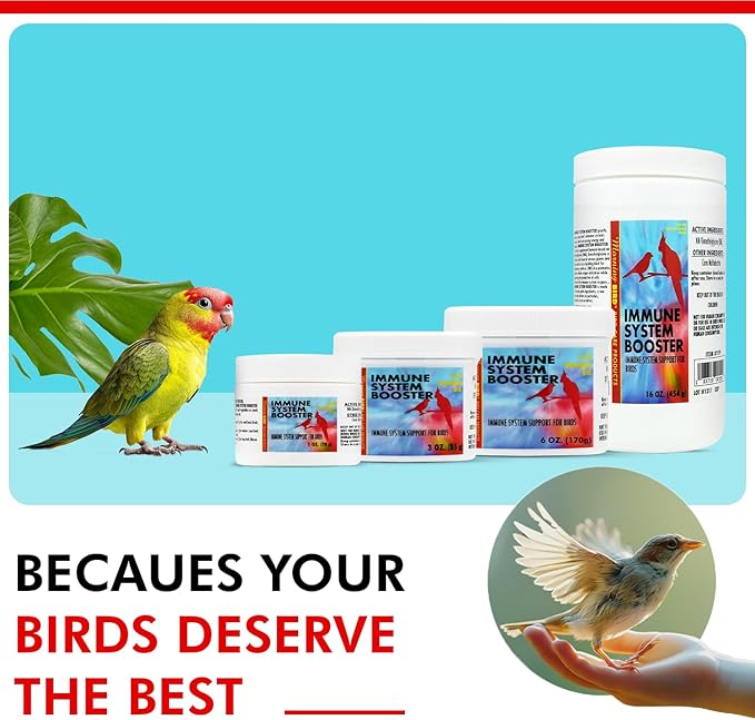 Morning Bird Immune System Booster 16 Oz - Energy Supplement for Birds – Natural Amino Acid Powder – Boosts Stamina, Cellular Health & Oxygen Use – Vitamin Powder for All Bird Species