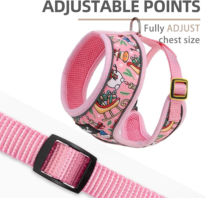 PUPTECK Soft Mesh Dog Harness and Leash Set Pet Puppy Cat Comfort Padded Vest No Pull Harnesses, Christmas Bright Pink, S