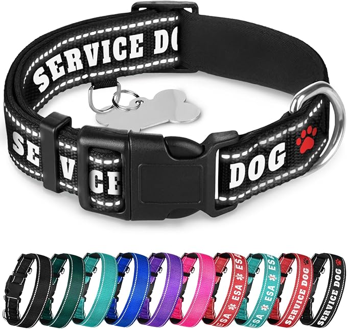 TECEUM Reflective Pet Collar β Black - Service Dog β M β Extra Soft Padding β Basic Nylon Dog Collar β Quick Release Buckle β Fits Small, Medium and Large Dogs, Puppies, Cats