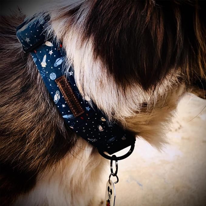 Elegant little tail Dog Collar, Blue Universe Pattern Pet Collar Durable Cute Dog Collars Male Pet Gift Adjustable Dog Collar for Small Dogs