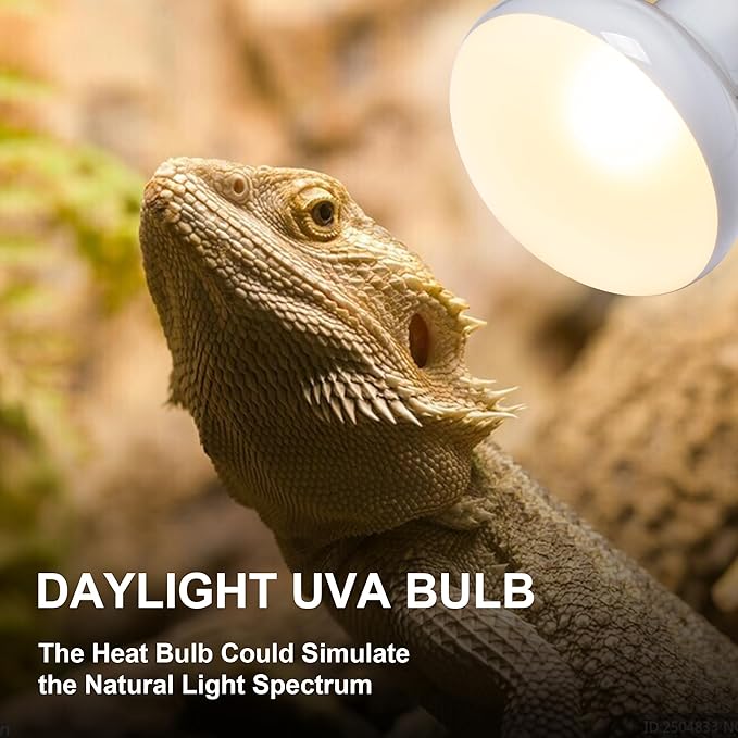 Heat lamp Bulbs Day & Night Combo, 100 Watt UVA Daylight Basking Spot Light and Red Infrared Heating Light for Bearded Dragon, Turtle, Lizard, Snake, Tortoise, Chameleon, Amphibians - 2 Pack