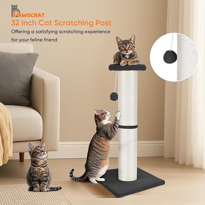 PAWSCRAT Cat Scratching Post 32" Tall, Large Diameter Natural Sisal Cat Scratch Post with Dangling Ball, Scratch-Resistant and Durable Tall Cat Scratcher for Indoor Cats, Protect Your Furniture, Grey