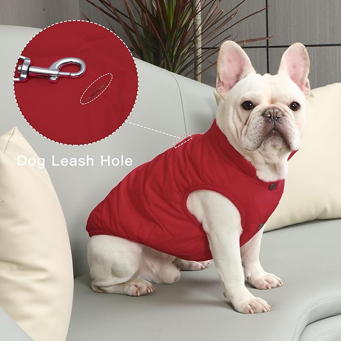 2 Layers Fleece Lined Warm Dog Jacket for Winter Cold Weather,Soft Windproof Large Dog Coat,Red XXXL