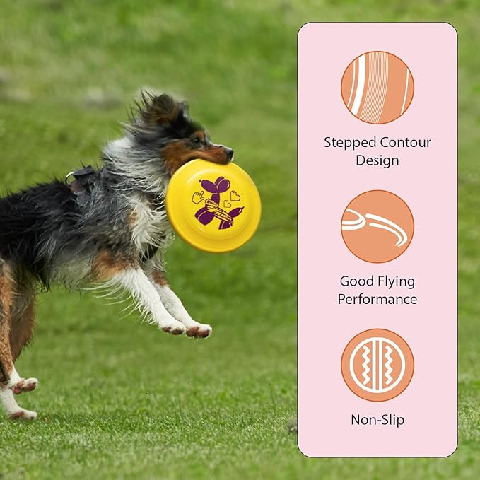 Wham-O Frisbee Fastback Flying Disc, 9.35 Inch Dog-Friendly Lightweight Toy for Professional Players Outdoor Beach Park Backyard Game - 100g