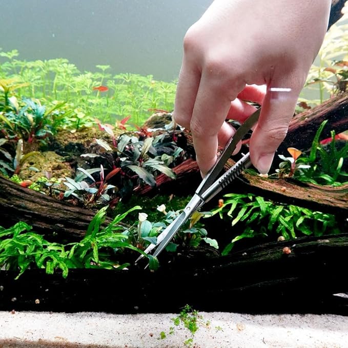 LINLAN Aquatic Plant Spring Scissors for Precise Trimming, Stainless Steel with Top Rebound Feel, Ideal for Aquatic Ferns and Microsorum Pteropus in Planted Tanks