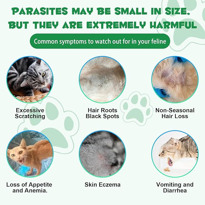 Specifically Formulated for Cats, Cats Natural Broad Spectrum Treatment with Probiotics, Herbal Cleanse, Digestive Support for All Cat Breeds, Gut Health, Puppy & Kitten, Supplement Drops for Pets