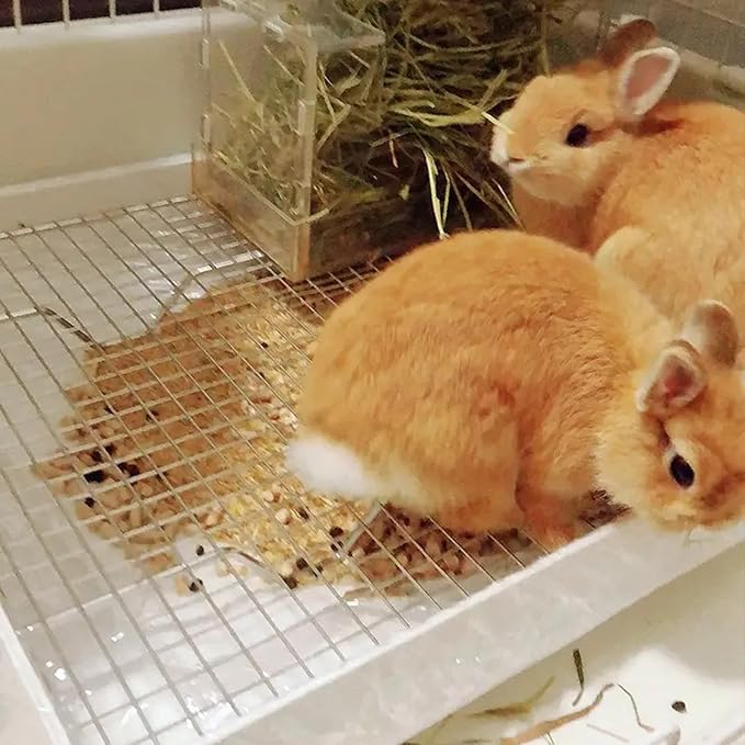 PODOO Rabbit Large Litter Box, Guinea Pig Training Pan Cage with Toilet Tray, Ideal for Rats, Ferret, Bunny Small and Medium Animals (Medium + Extra Large Steel Holes Grids)