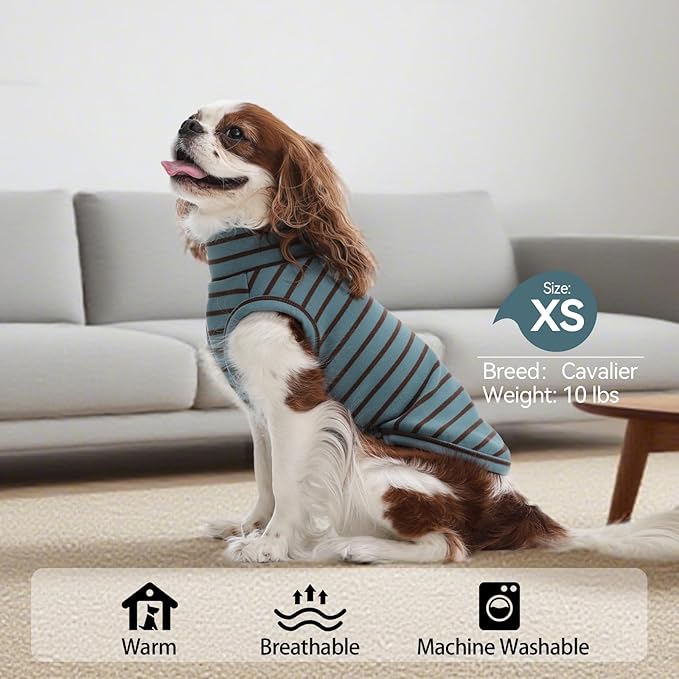 2 Pack Small Dog Sweaters, Warm Stripe Pullover Stretch Fleece Sweater, Winter Fall Pets Coats Sweatshirt, Soft Pet Fleece Vest Pajamas Turtleneck for Dogs, Dachshund, Boston Terrier, Blue S