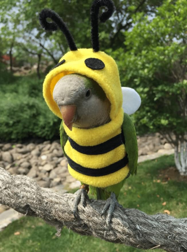 Bird Costume Diaper Flight Suit Bee Shape Clothes Cosplay Photo Prop for Parrots Lovebird Budgie Parakeet Cockatiel Sun Conure, Small Animals Apparel (Bee Without, Small), Green, BPF1