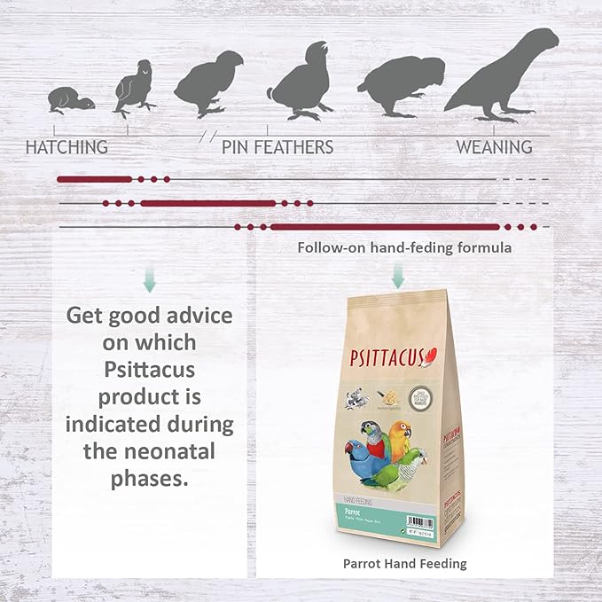Psittacus Parrot Hand-Feeding Formula 2.2 lb | Versatile Diet for Baby Caiques, Conures, Green Cheeks and Other Parrots | Premium Food for Birds, 100% no-GMO