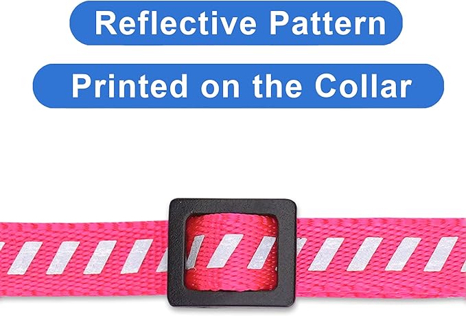 Pawtitas Personalized Cat Collar with Breakaway Safety Release Buckle Adjustable Length