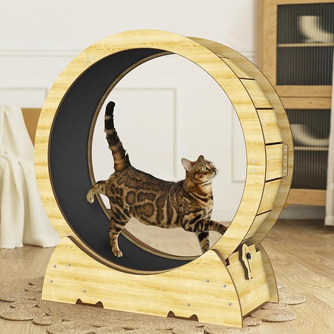 Cat Exercise Wheel for Indoor Cats, 36" Cat Treadmill Wheel with Detachable Carpeted Runway, Natural Solid Wood Sturdy Running Wheel for Running/Training/Walking, Suitable for Most Cats