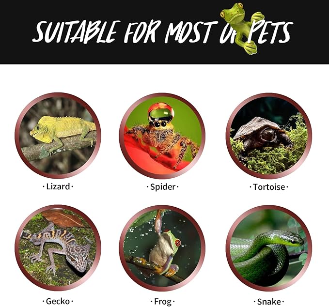 75W Reptile Heat Lamp Combo Set-Reptile Day and Night Heat Lamp,UVA Basking Spot Bulb for Bearded Dragon Lizard Turtle Snake Chameleon Use, 4 Pack