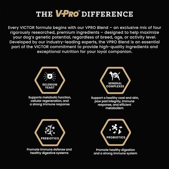 VICTOR Super Premium Dog Food – Professional Dry Dog Food – Super Premium Kibble with 26% Protein – Gluten-Free with Beef, Chicken & Pork Meals – for High Energy and Active Dogs & Puppies, 15lbs