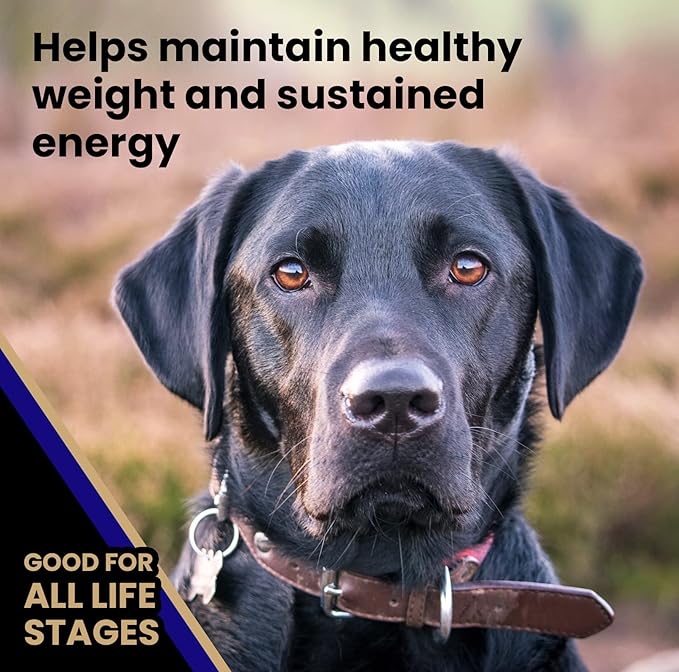 VICTOR Super Premium Dog Food – Select Beef Meal & Brown Rice Formula for Immune and Gut Health – Gluten-Free Beef Meal Dry Dog Food for All Normally Active Dogs of All Life Stages, 5 lbs