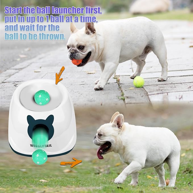 Automatic Ball Launcher for Dogs, Dog Fetch Ball Thrower Launcher, 4 Adjustable Distances, Interactive Pet Self Playing for Small Dogs and Puppies with 10 Balls (2 inches)