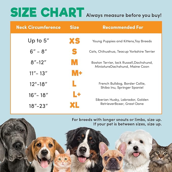 BENCMATE Inflatable Dog Cone Collar Alternative, Soft Dog Cone for Small Medium Large Dogs and Cats, Neck Recovery ECollar Donut Collar After Surgery (Small, HeartShape)