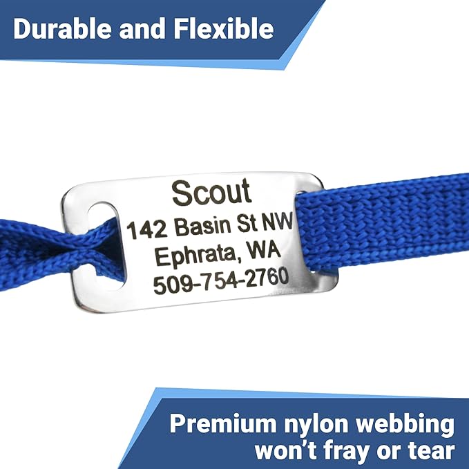 GoTags Personalized Cat Collars with Tag, Engraved Custom Cat Collar with Name and Phone, Breakaway Collar with Safety Buckle and Bell, Adjustable for Cats and Kitten (Blue with Nameplate)