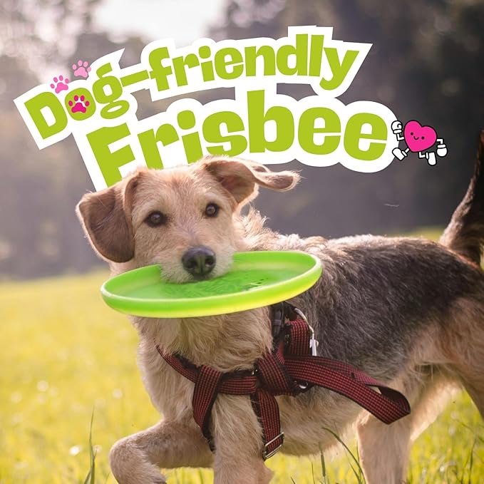 Wham-O Frisbee Fastback Flying Disc, 9.35 Inch Dog-Friendly Lightweight Toy for Professional Players Outdoor Beach Park Backyard Game - 100g