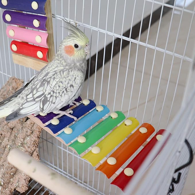 Dnoifne Colorful Xylophone, Funny Xylophone with 8 Metal Keys, Cage Toy Accessories for Parrot, Parakeet, Budgies, Love Birds