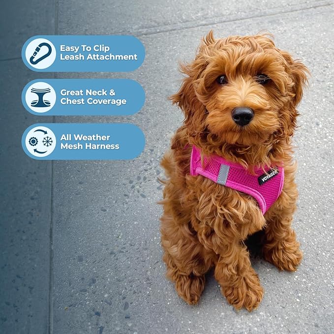 Best Pet Supplies Voyager Step-in Air Dog Harness - All Weather Mesh, Reflective, No Pull Harness for Small, Medium Dogs, Cats - Secure with Hook & Loop Fastener, Buckle, Double D-Rings - Fuchsia, XL