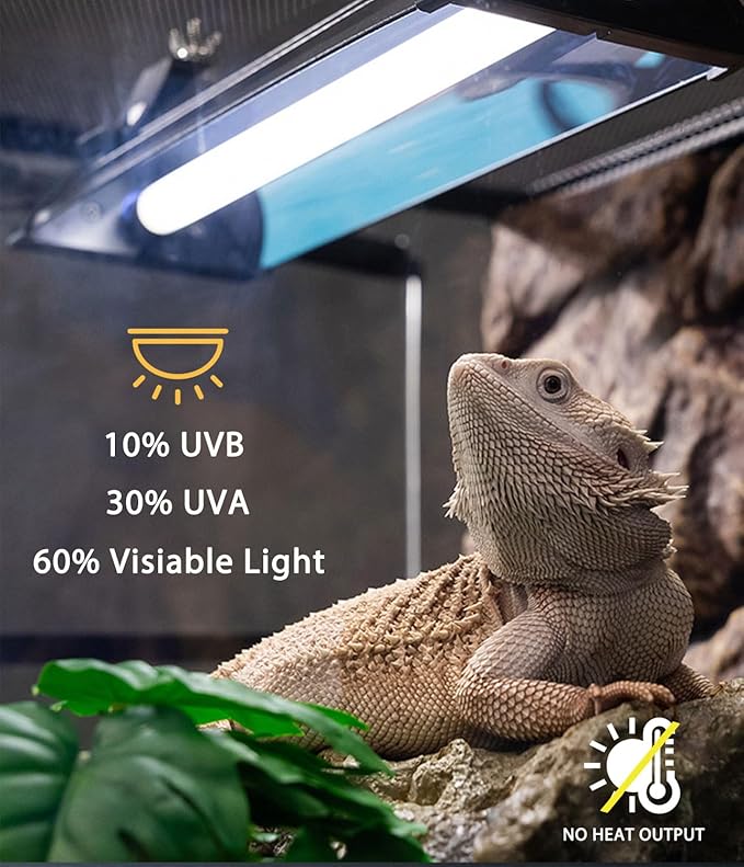T5 UVB Reptile Light Fixture Combo Kit - 12 Inch 8W Terrarium Hood 10.0 UVA UVB Bulb with High-Efficiency Reflector for Desert Reptiles & Amphibians (Bearded Dragons, Turtles, Tortoises)