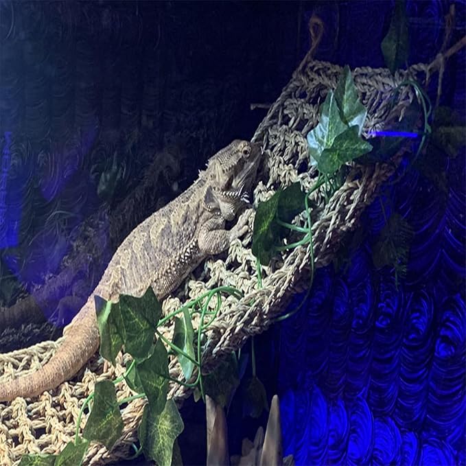 kathson Bearded Dragon Hammock,Large Lizard Lounger,Reptile Tank Hanging Plants Climbing Jungle Vines Flexible Leaves Decorations for Lizards Chameleon Gecko Snakes(3 PCS)